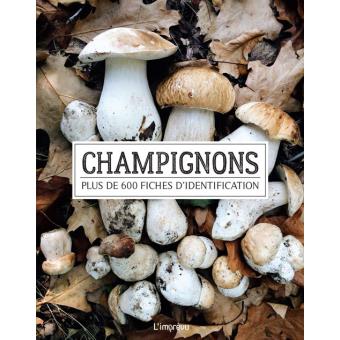 Les champignons - 1