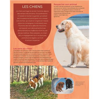 Les animaux familiers