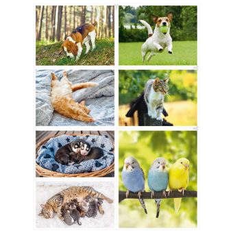Les animaux familiers