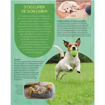 Les animaux familiers