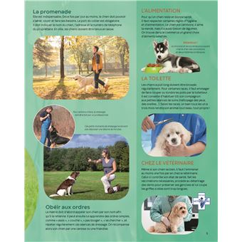 Les animaux familiers