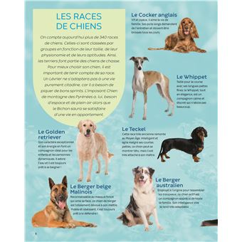 Les animaux familiers