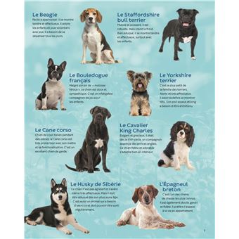Les animaux familiers