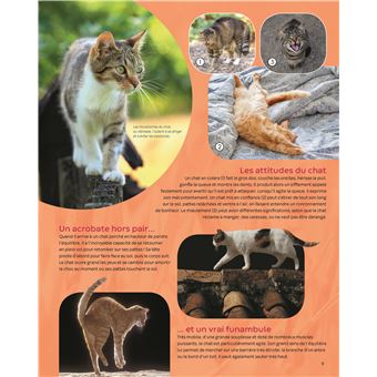 Les animaux familiers