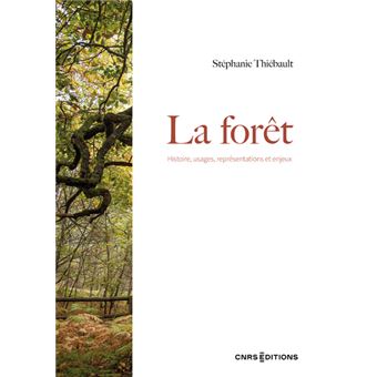 La forêt - Histoire, usages, représentations et enjeux