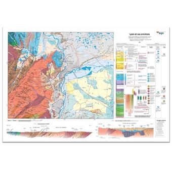 Lyon et ses environs à plat 89 x 63