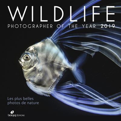 Wildlife photographer of the year 2019 -  Collectif - relié