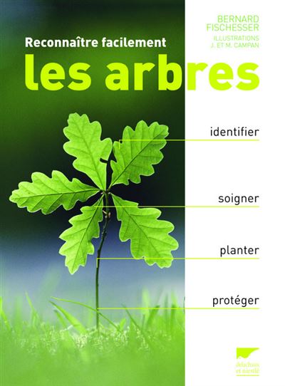 Les identifier - Arbres