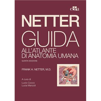 Netter. Guida all'atlante di anatomia umana - Frank H. Netter