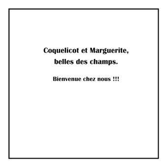 Coquelicot et Marguerite ,belles des champs.