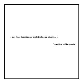 Coquelicot et Marguerite ,belles des champs.