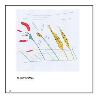 Coquelicot et Marguerite ,belles des champs.