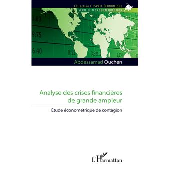 Analyse des crises financières de grande ampleur