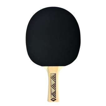 Raquette de Ping Pong Tennis de table Donic-Schildkröt Champs Line