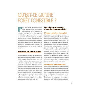 Créer un jardin-forêt comestible