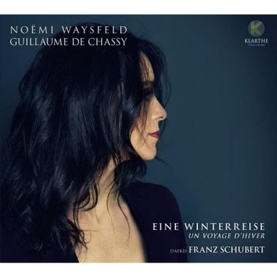 Eine winterreise - Un voyage d'hiver