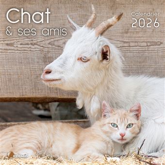 Calendrier le chat et ses amis 2026