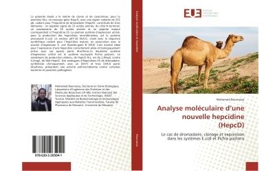 Analyse moleculaire d'une nouvelle hepcidine