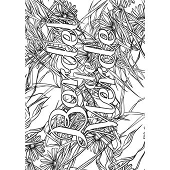 Coloriage Insulte: Mon cahier d'injures à colorier Livre de coloriage  mandala avec gros mots rigolos pour adultes 21,59 x 27,94 cm, 100 p  (Paperback)
