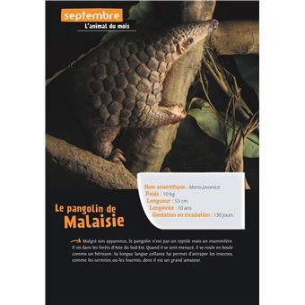Agenda Défis Nature 2022-2023   Animaux fascinants