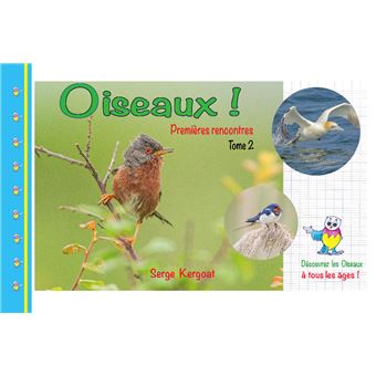 Oiseaux ! Premières rencontres