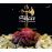 SIFACE - L¿AMOR CASTRATO_0