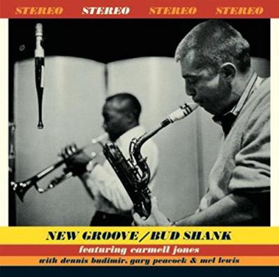 NEW GROOVE/LP