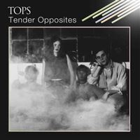 Tender Opposites - Vinilo Azul nublado