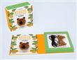 Kit Broche Pompon - Ours