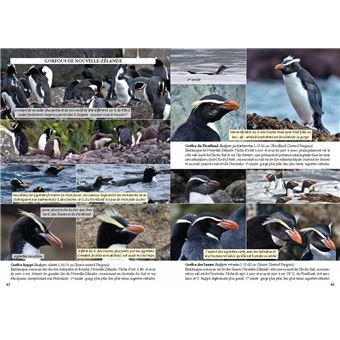 Guide photo des oiseaux marins du monde