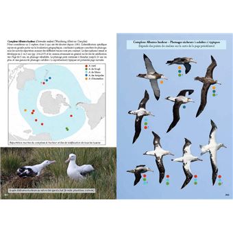 Guide photo des oiseaux marins du monde