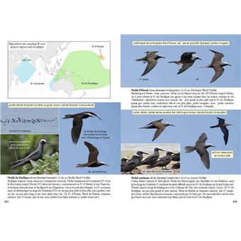 Guide photo des oiseaux marins du monde