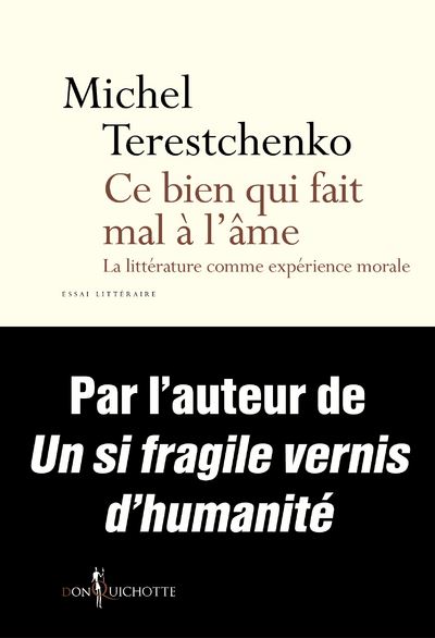 Ce bien qui fait mal à l'âme - La littérature comme expérience morale