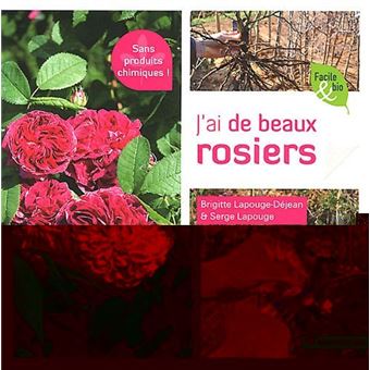 J'ai de beaux rosiers