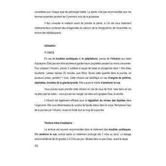 Dix plantes magiques pour votre santé