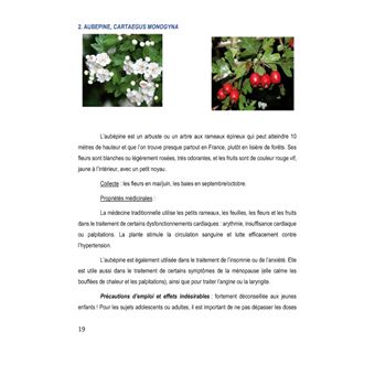 Dix plantes magiques pour votre santé