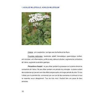 Dix plantes magiques pour votre santé