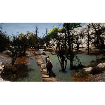 Whisper Ari, La Cavalière Intrépide Nintendo Switch