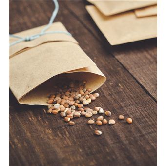 Récupérez vos graines au jardin