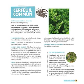 Récupérez vos graines au jardin