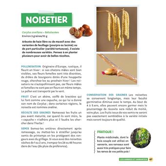 Récupérez vos graines au jardin