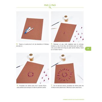 Herbiers et fleurs séchées - Un livre pour tout savoir, pratique et accessible à tous