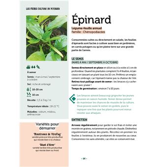 Mon potager décomplexé