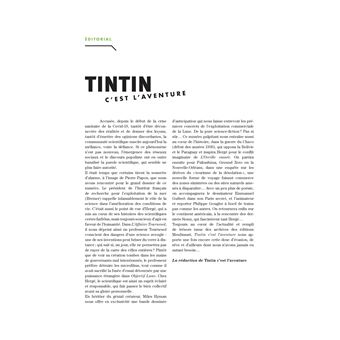 Tintin - C'est l'aventure 8