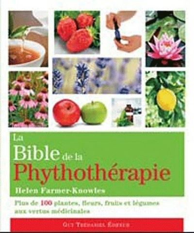 Phytothérapie pour débutants ; 35 plantes médicinales pour guérir
