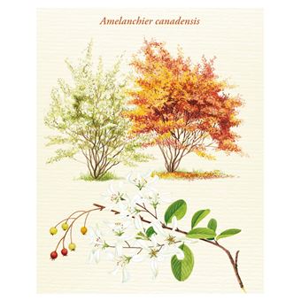 Le Grand Larousse des arbres