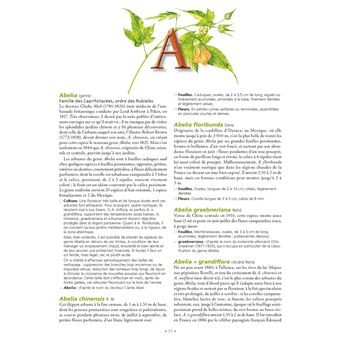 Le Grand Larousse des arbres