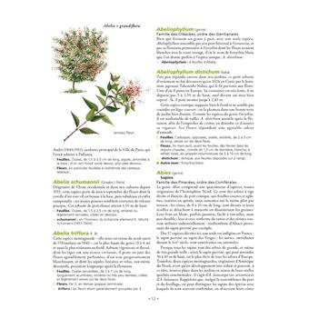 Le Grand Larousse des arbres