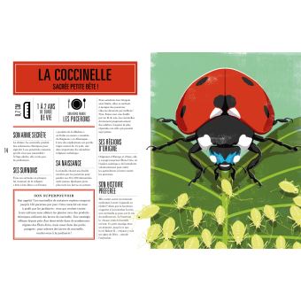 Animaux super-héros