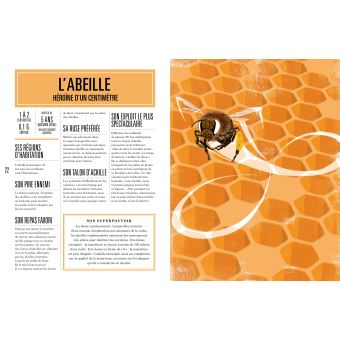 Animaux super-héros